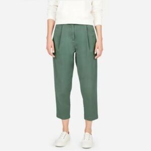 Everlane Slouchy Chino Pant in Sage